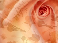 /album/photo-gallery-ljubov-i-romantika/love-and-romance-wallpapers-091-jpg/